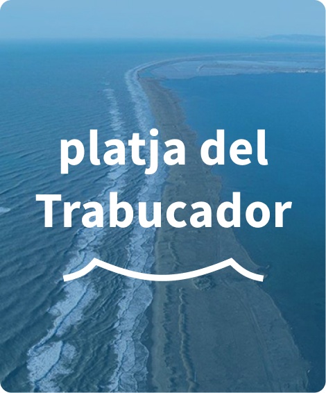 trabucador